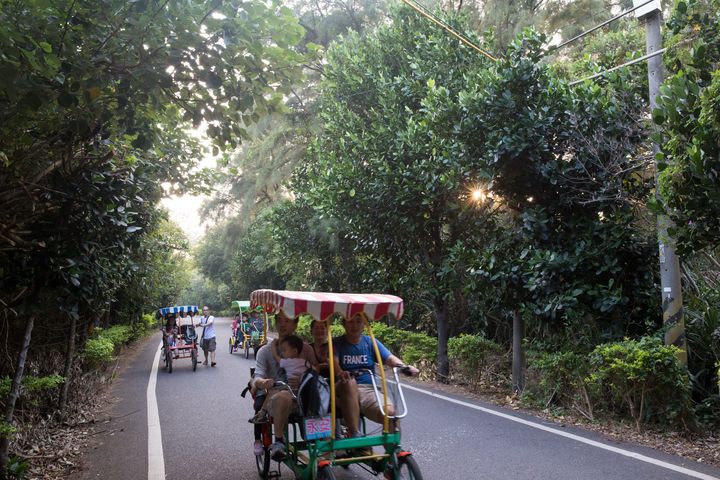 ▲遊程特色景點-綠色隧道騎乘自行車。　圖：桃園市政府觀光旅遊局／提供