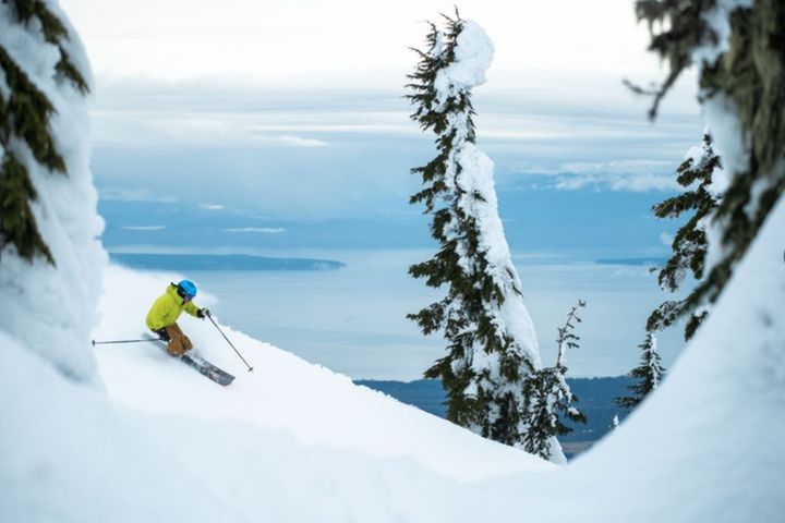 ▲加拿大冬季滑雪體驗。　圖：BC省旅遊局_Reuben Krabbe／提供