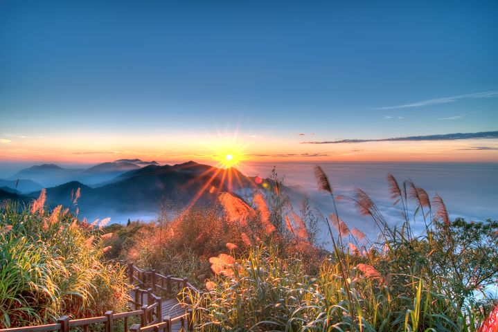 阿里山雲海之美。　圖：Shutterstock／來源