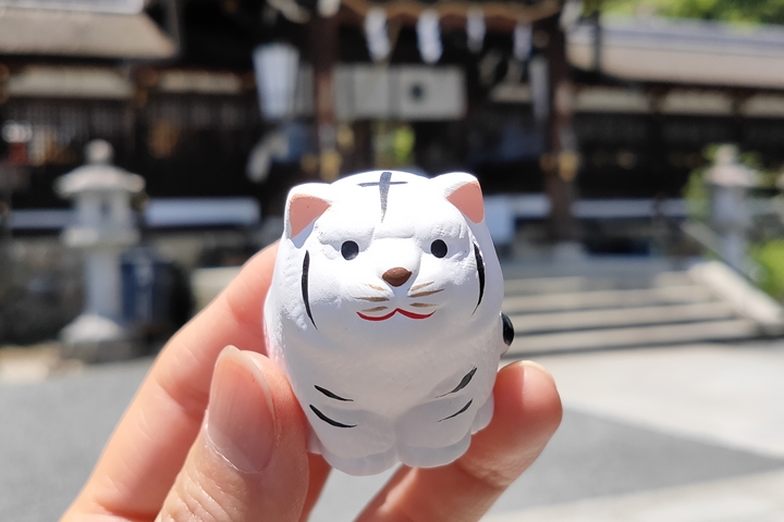 ▲超吸睛的白虎神籤，下趟飛京都就去收集！　圖：れつぽんさん／來源