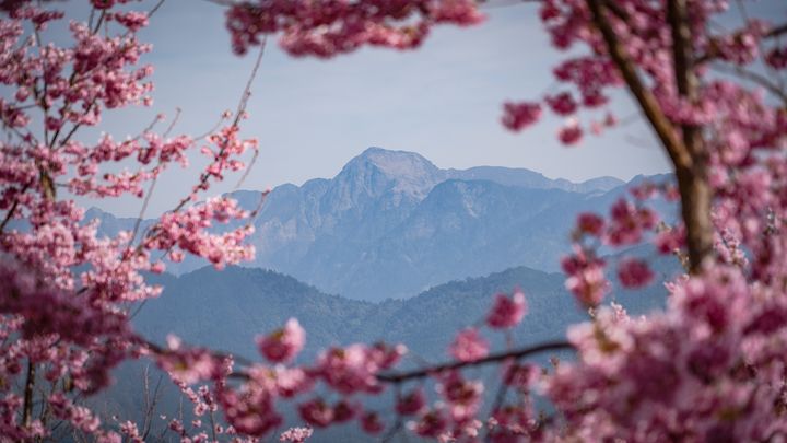 ▲梨山福壽山農場美景迎曙光。　圖：交通部觀光局／提供