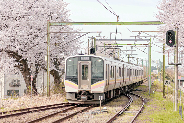 ▲期待春櫻盛開時節，來趟日本鐵道小旅行。　圖：JR東日本旅客鐵路株式會社／提供