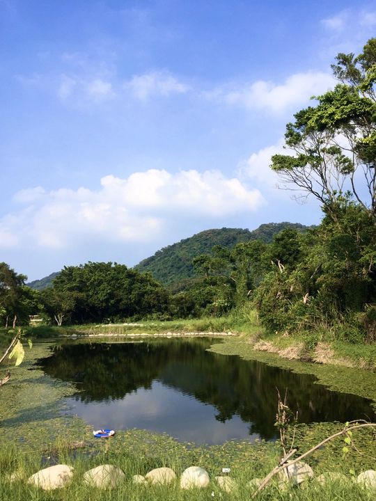 ▲桃園_山豬湖生態親水園區。　圖：桃園市政府觀光旅遊局／提供