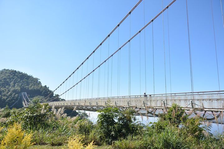 ▲嘉義梅山鄉的太平雲梯吊橋。　記者-王政／攝