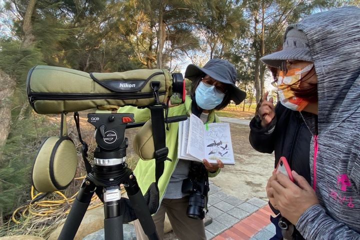 雲嘉南好好玩／賞鳥新秘境 暢遊南布袋濕地─新岑公園