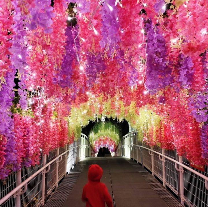 ▲天空步道_「浪漫花道」燈光藝術裝置。　圖：彰化縣政府城市暨觀光發展處／提供