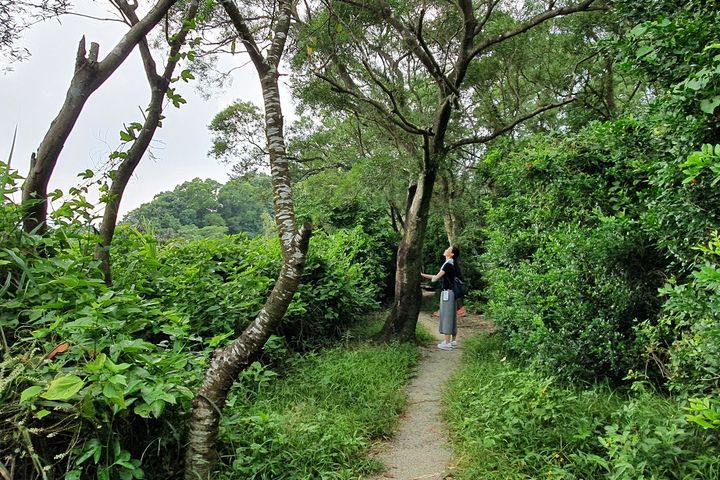 中和烘爐地步道。　圖：新北市政府觀光旅遊局／提供