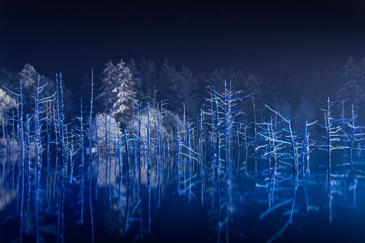 ▲雪白色的落葉松水沒林倒映在青池內，呈現魔幻「美瑛藍」，宛如置身冰雪奇緣世界。　圖：makieniさん／來源