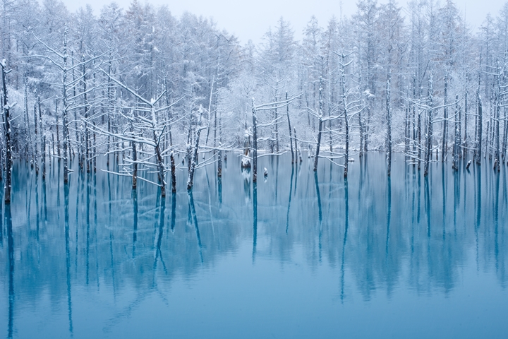 冬遊北海道，別錯過欣賞白金青池的多元面貌。　圖：日本旅行情報局／提供