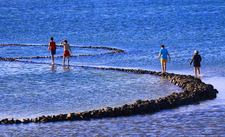 ▲澎湖石滬群之美。　圖：澎湖國家風景區管理處／提供