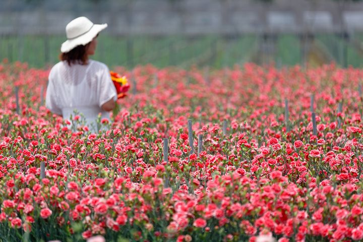 2022花在彰化  來溪州公園牽手走春啦！