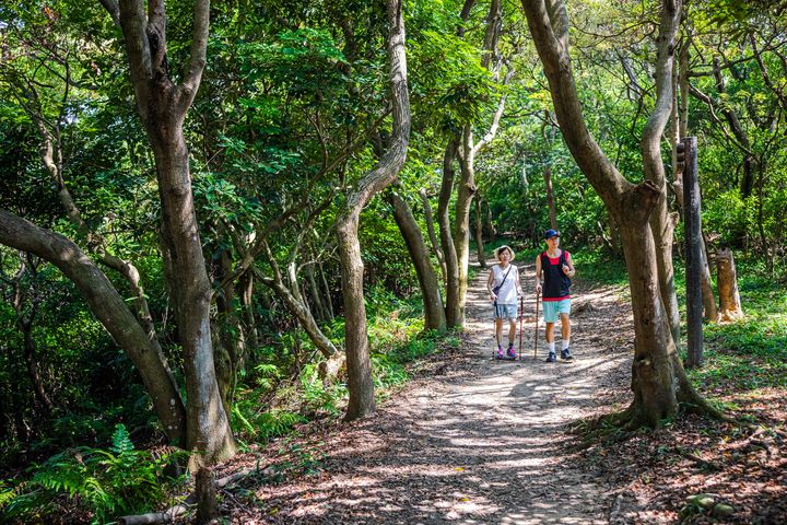 ▲羊稠森林步道。　圖：桃園市政府觀光旅遊局／提供