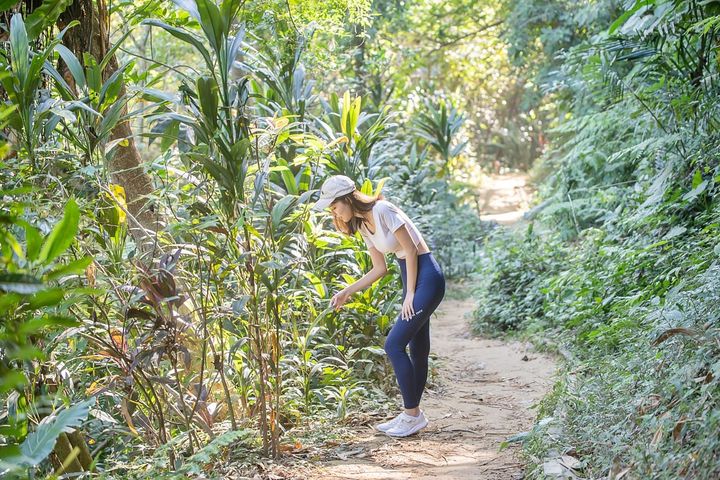 ▲蘭潭後山步道枝葉扶疏，還有桃花心木的浪漫仙境。　圖：嘉義市政府觀光新聞處／提供