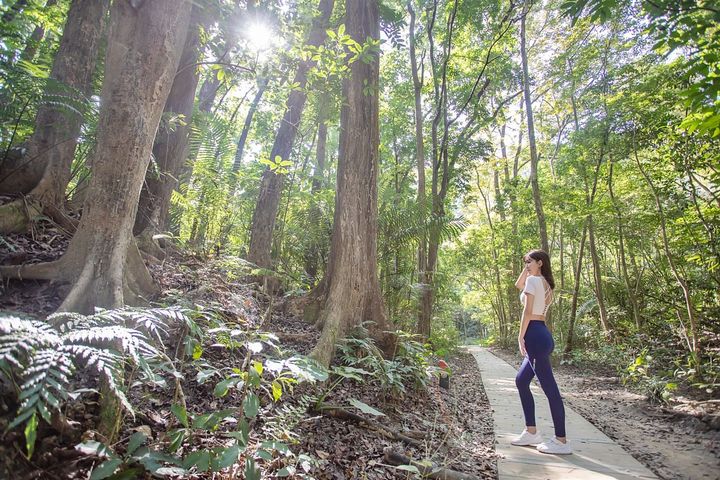 蘭潭後山步道是森林浴的好去處。　圖：嘉義市政府觀光新聞處／提供