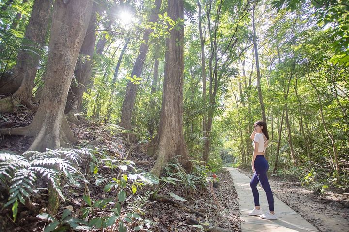 享受芬多精 蘭潭後山步道森林小旅行