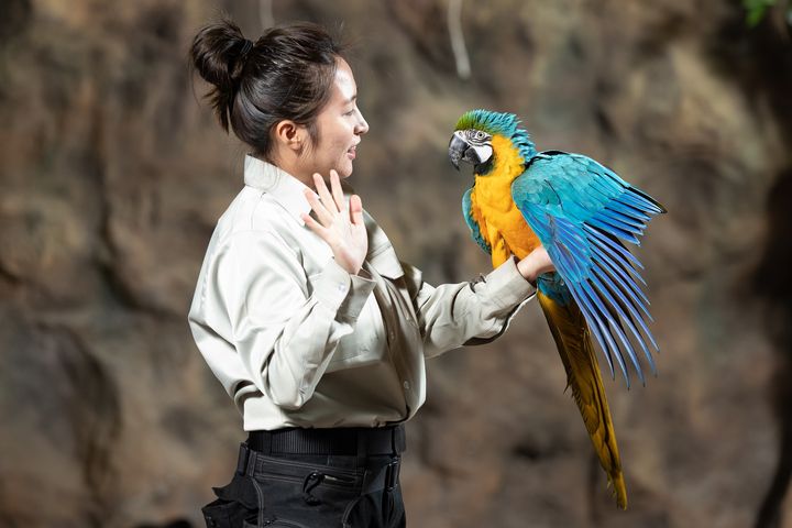 ▲「探索秘境叢林」於美國大西部鳥禽方舟探索館上演。　圖：六福村主題遊樂園／提供