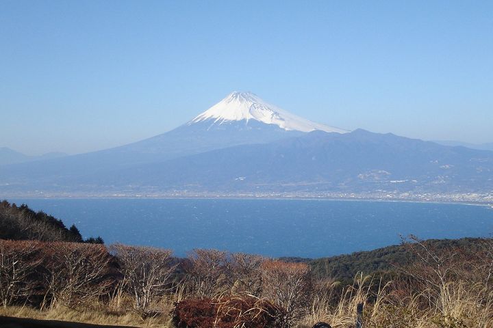 伊豆半島的達磨山可飽覽富士山美景。　圖：美好伊豆創造中心／提供