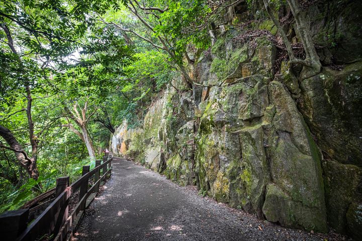 ▲天母古道路面平整好走，很適合駐足觀景。　圖：台北市政府觀光傳播局／提供