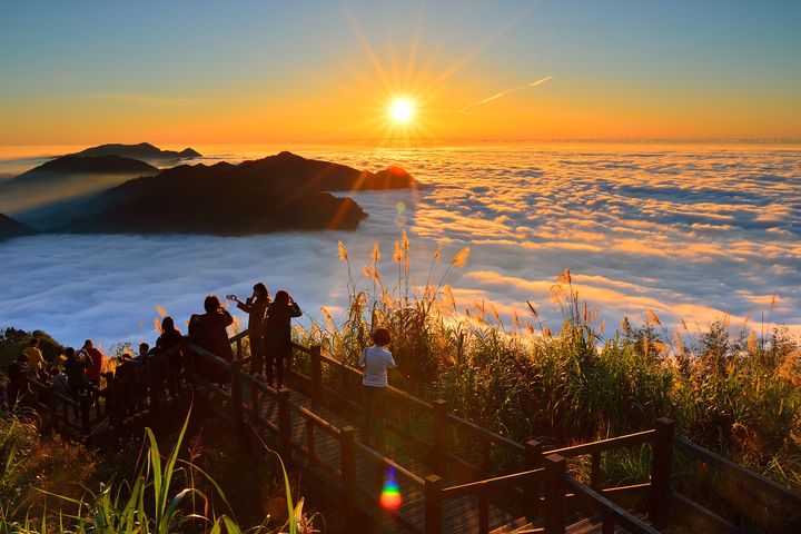 阿里山壯麗的雲海。　圖：阿里山國家風景區管理處／提供