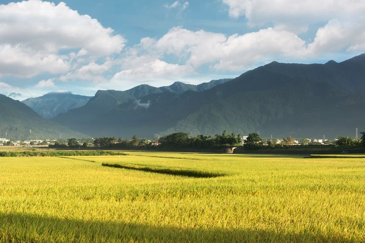 虎年徐行漫遊 最純淨自然的花東地區