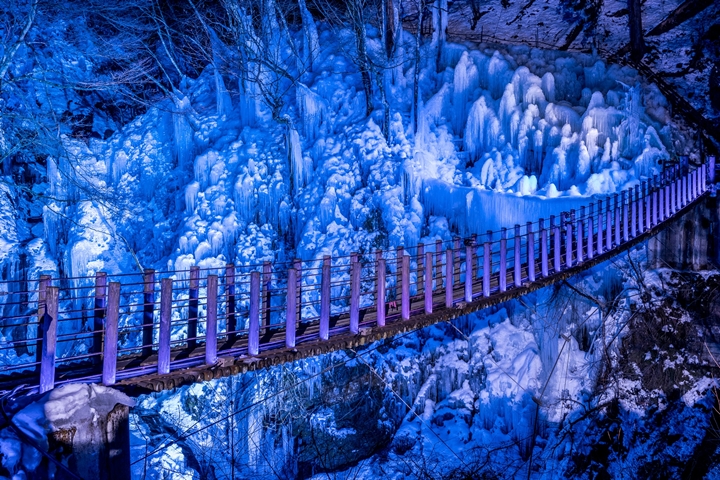 吊橋橫跨其中的「尾之內溪谷冰柱」在夜點點燈之下魔幻程度加倍。　圖：埼玉県物産観光協会／來源
