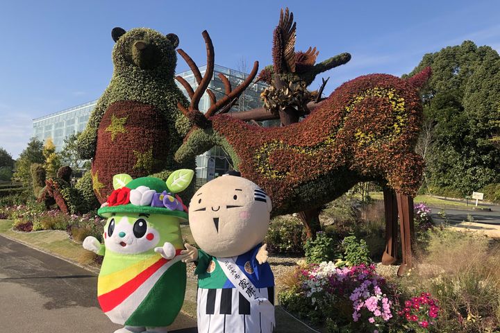 ▲濱松花卉公園是知名的賞花去處。　圖：濱松濱名湖觀光局／提供