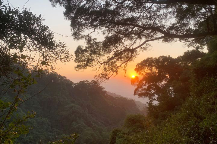 八卦山風景區-田中森林步道夕陽美景。　圖：參山國家風景區管理處／提供