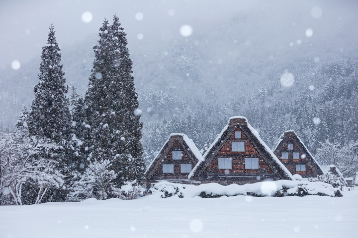 日本北陸雪白童話村太美了！上百間合掌屋任你拍好拍滿