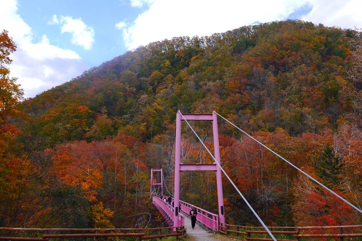 ▲粉紅色仙峽橋的紅葉美景。圖：【Ak的北海道生活】／提供
