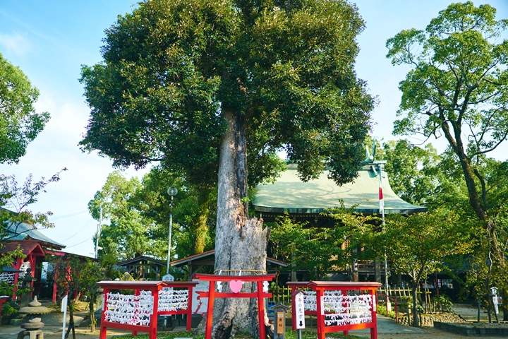 新聞圖片