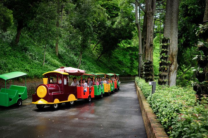 ▲遊園車江南畫舫水鄉美景。　圖：台糖尖山埤江南渡假村／提供