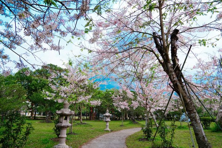 春天到高雄後花園六龜親近大自然美景。　圖：高雄市政府觀光局／提供 