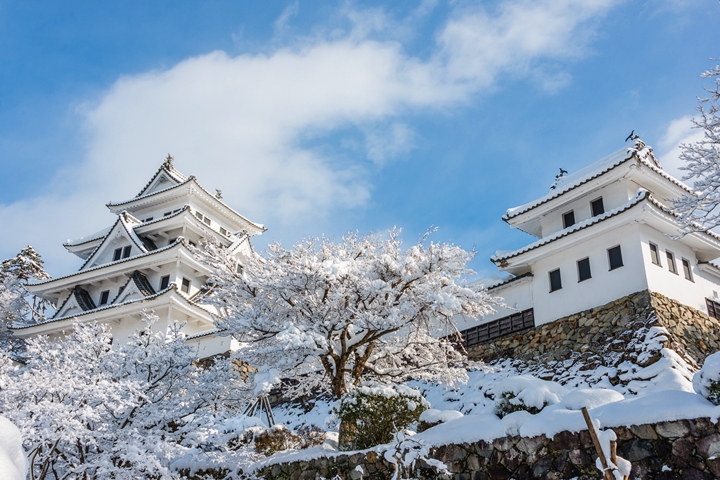 雪景點綴下的郡上八幡城夢幻無比。　圖：郡上八幡観光協会／來源