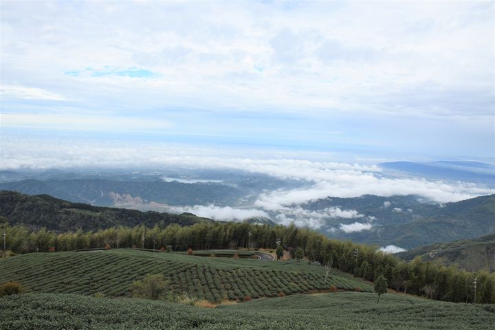 ▲來到雲嶺之丘，如登天空之城360度環景視野開闊。　記者-歐彥君／攝