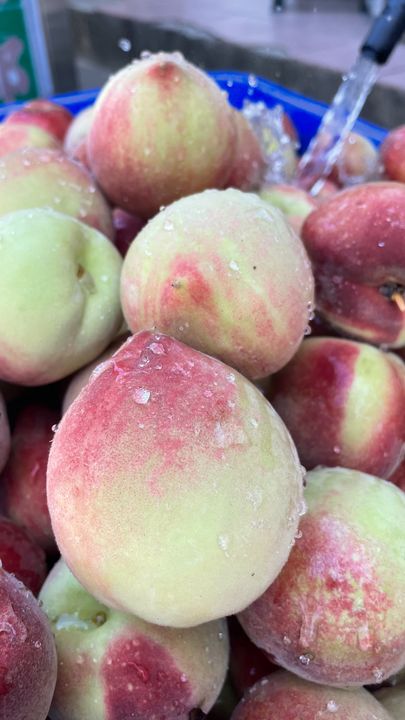 ▲甜桃也是蘇家農場自產自銷的特色水果之一。　記者-歐彥君／攝