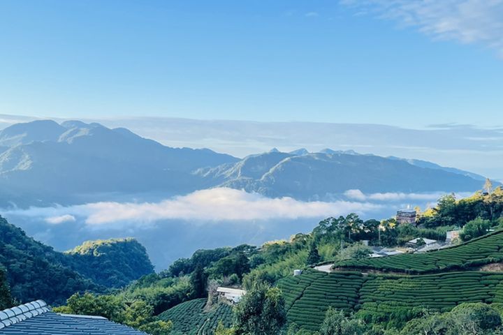 雲林縣古坑鄉草嶺村仙境美景，讓人心曠神怡。　圖：蘇家農場／提供 