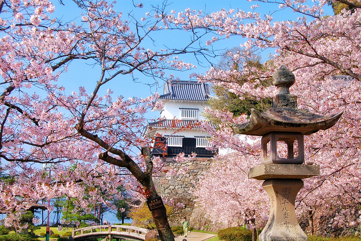 大村公園是長崎縣最知名的賞櫻景點之一。　圖：長崎縣觀光連盟／提供