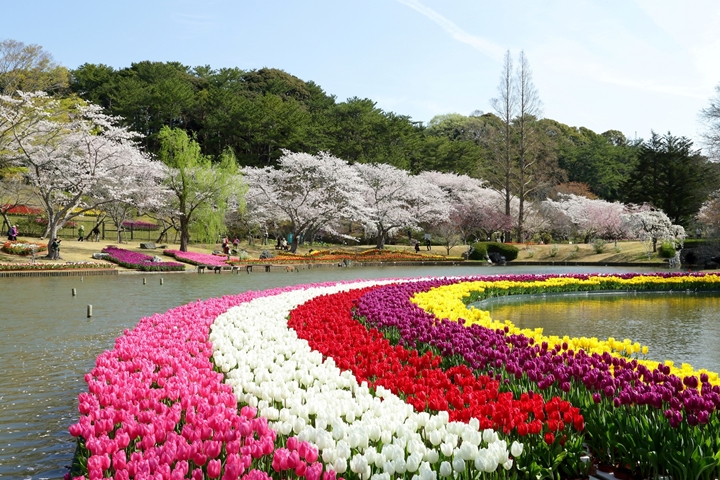 「濱松花卉公園」占地約30萬平方公尺，園內幅員遼闊看點十足，能欣賞多樣化花卉。　圖：靜岡縣／來源