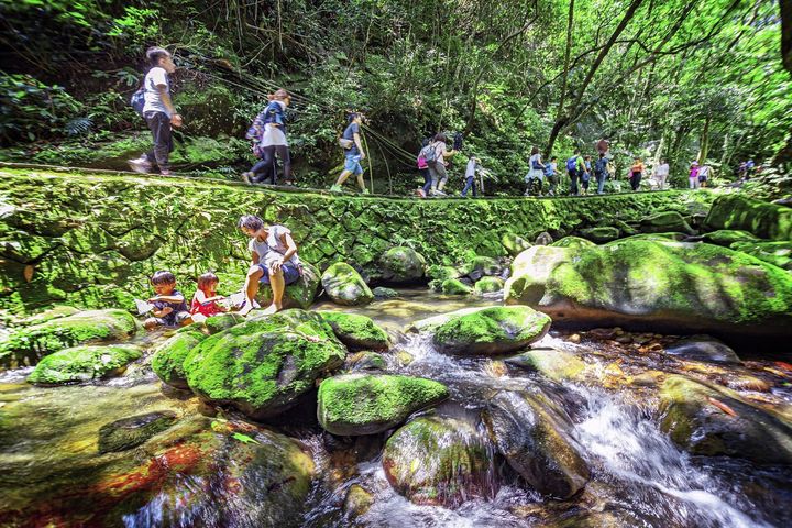 走在臺北大縱走第4段「圓覺寺步道」，與沁涼溪流伴行，不論是登高或溪旁休憩都可體驗大自然的美妙。　圖：臺北市政府觀傳局／提供