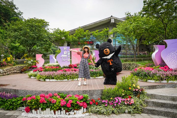 南庄花卉節4月底登場 招募在地團隊來「拈花惹草」