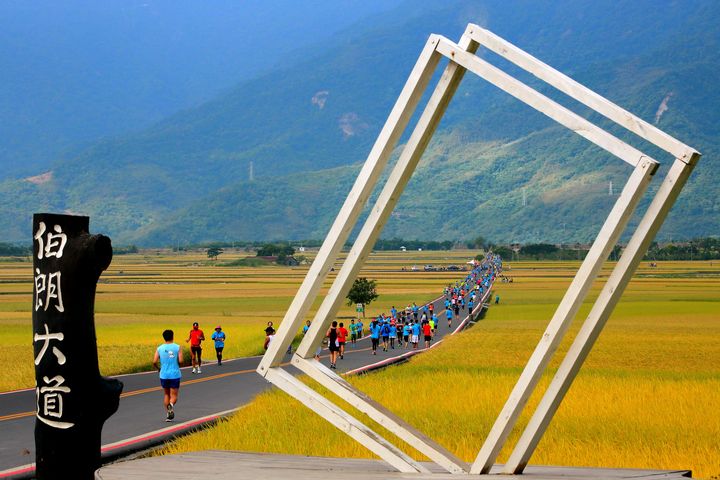 ▲稻浪慢跑-池上伯朗大道／劉周權-攝。　圖：台東縣政府交通及觀光發展處觀光管理科／提供