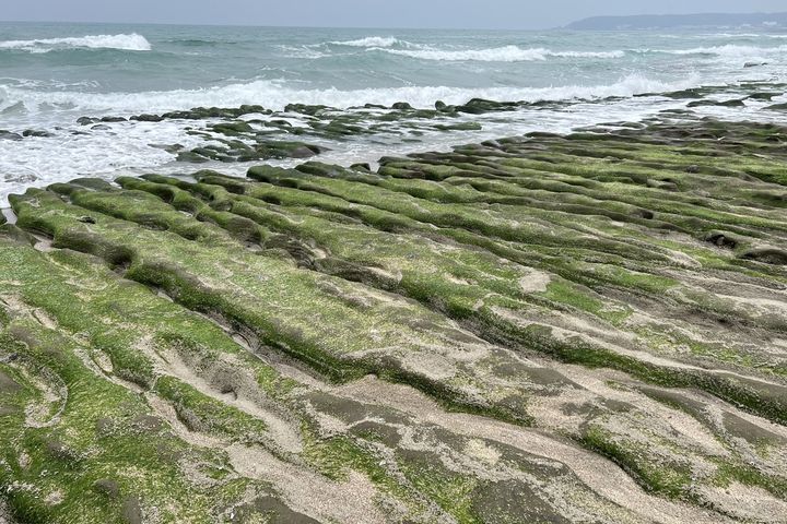 ▲由海蝕溝槽和石蓴共同構成的綠石槽美景。　圖：北海岸及觀音山國家風景區管理處／提供