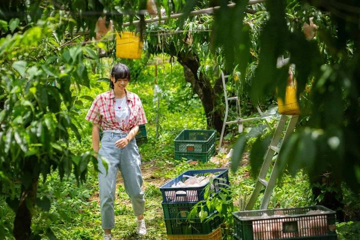 於梨山取景拍攝的金馬獎最佳原著劇本入圍電影《高山上的熱氣球》於3/18全台上映。　圖：參山國家風景區管理處／提供 