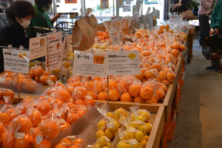▲「道之驛 下賀茂溫泉 湯之花」活動會場販售當地產的橘子等鮮果。　圖：美好伊豆創造中心／提供