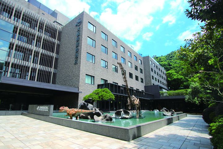 大板根森林溫泉酒店領有台灣新北市政府「國際觀光飯店」執照。　圖：大板根森林溫泉酒店／提供