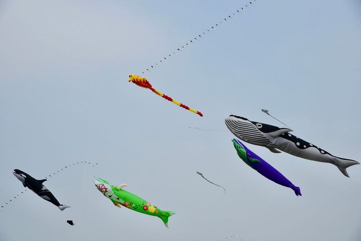 2022桃園國際風箏節春季，於3月26、27日舉行。　圖：桃園市政府觀光旅遊局／提供 
