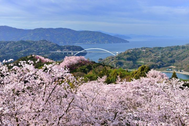 瀨戶內島波海道新玩法 搭海上計程車跳島遊