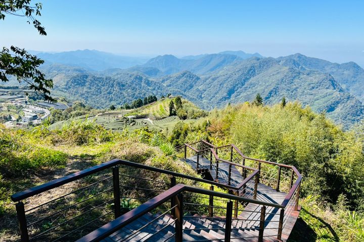 ▲歡迎到隙頂二延平步道賞夕陽、賞雲海、觀茶園。　圖：阿里山國家風景區管理處／提供