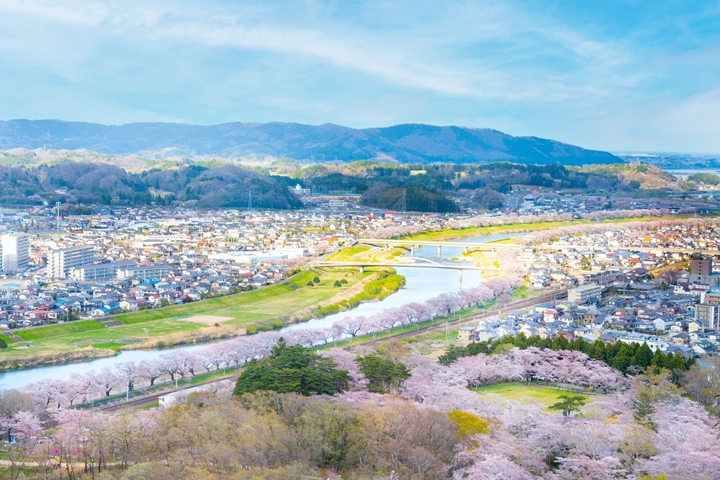 ▲白石川堤一目千本櫻不光只能搭乘鐵道沿途欣賞，更不容錯過從高處眺望的震撼美景。　圖：photripさん／來源