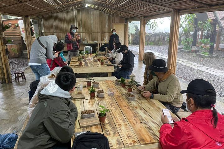 ▲遊客可以親自製作蕨類植栽。　圖：參山國家風景區管理處／提供